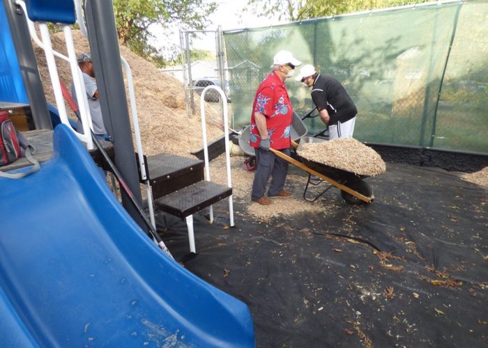 mi escuelita wheel barrows